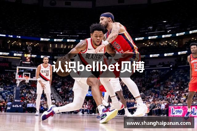 认识bellbet贝博